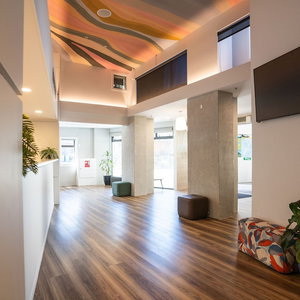 Hotel Haka House Wellington cazare Te Aro