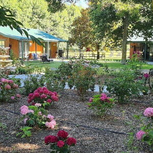 Hotel The Jolly Poacher Retreat cazare Mayfield