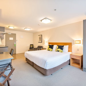 Hotel Alexander Inn cazare Epsom