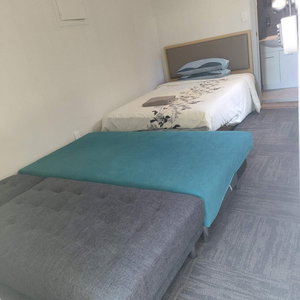 Hotel 1 Double And 1 Sofa Bed Studio cazare Epsom