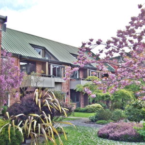 Hotel Woodlands Motels And Apartments cazare Opoho