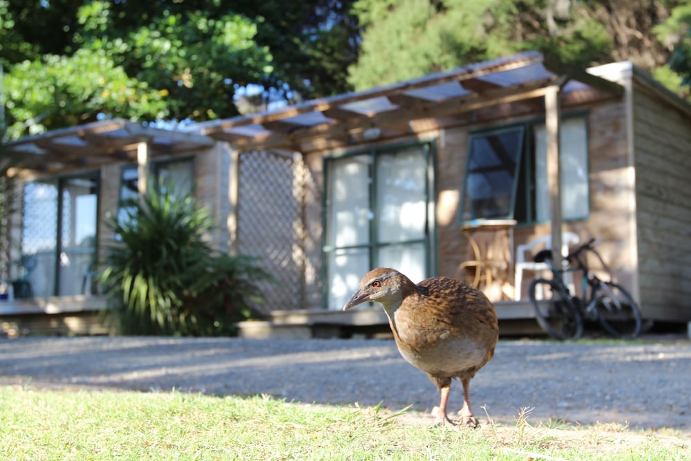 Hotel Russell - Orongo Bay Holiday Park