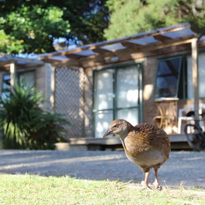 Hotel Russell - Orongo Bay Holiday Park cazare Russell