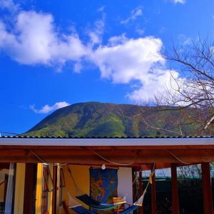 Hotel Sequoia Lodge & Backpackers cazare Picton