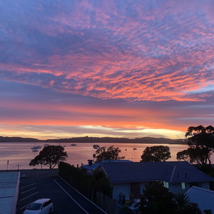 Hotel Ala Moana Motel cazare Paihia