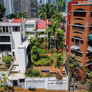 Hotel Casa Orquídea cazare San Francisco
