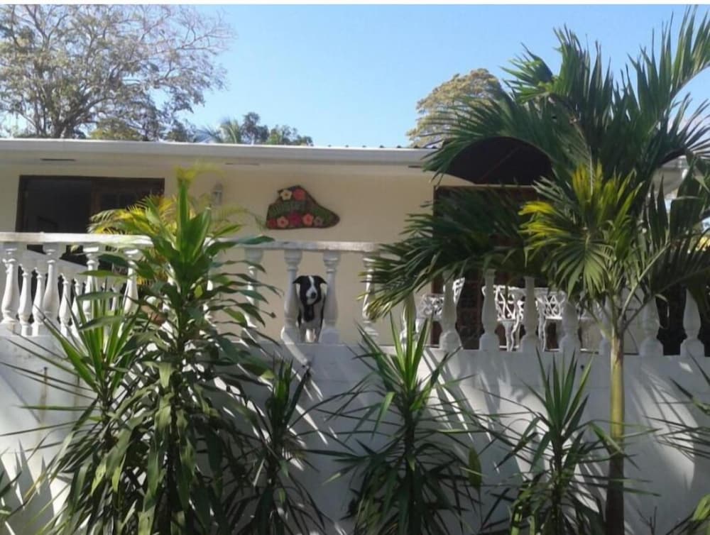 Hotel Hibiscus House Bed And Breakfast