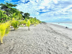 Hotel Villa Las Mellizas cazare Limones