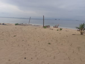 Hotel San Blas Tour Aridub cazare Carti Sugtupu