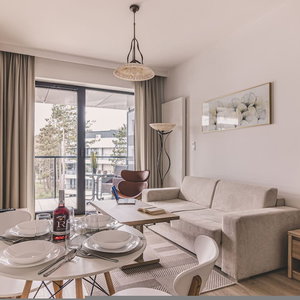 Hotel Puro Apartment Shellter Rogowo Taras Las Pla A cazare Rogowo
