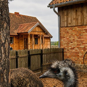 Hotel Farma Puchałowo cazare Janowo