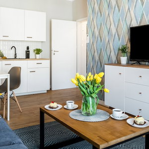 Hotel Vistula Boutique Exclusive Apartments cazare Zwierzyniec