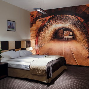 Hotel Boutique Hotels cazare Bytom