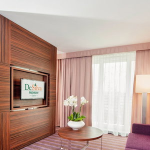 Hotel Desilva Premium Opole cazare Podedworze