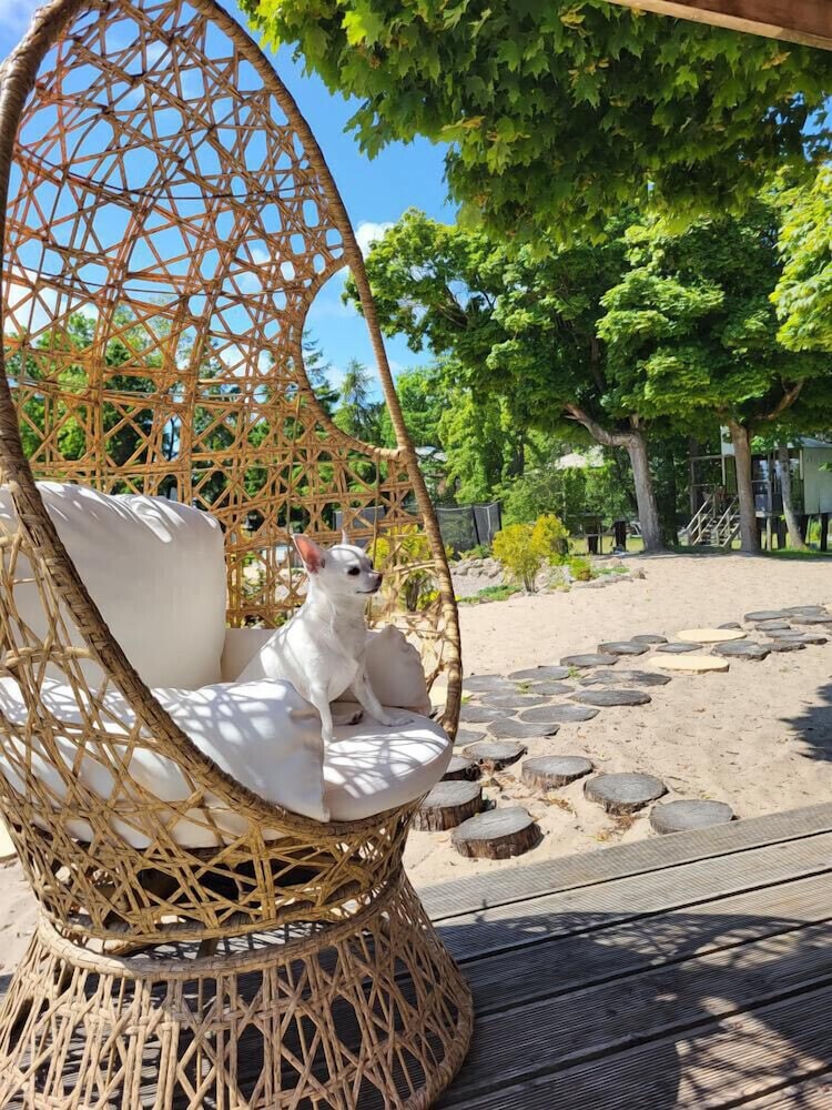 Hotel Herbals Glamping Domki Na Drzewie Mielno