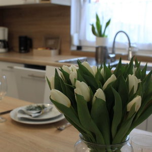 Hotel Diamentowa 7 Rent Home cazare Dopiewo