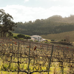 Sejur Quinta Da Murnalha vacanta Mafra