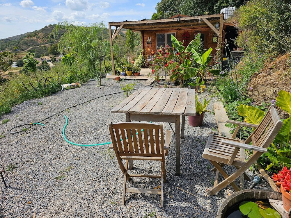 Hotel Cabin Sleeps 2 With Enclosed Garden