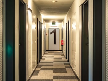 Ibis Guimaraes