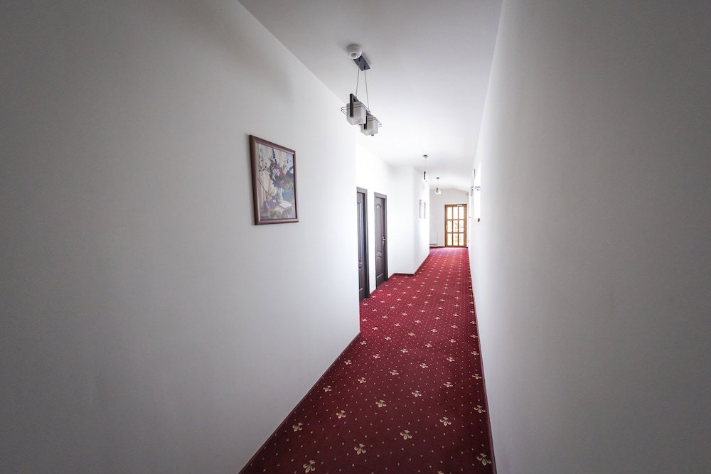 Hotel Pensiunea Schwartz