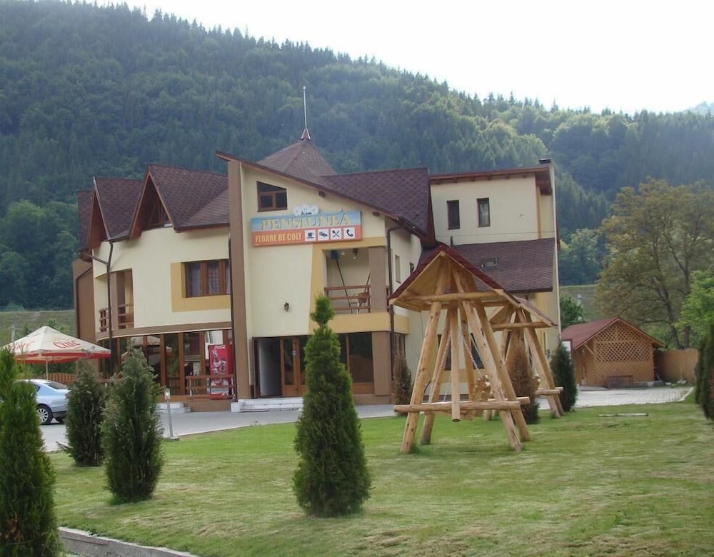 Hotel Pensiunea Floare De Colt