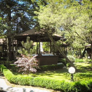 Hotel Hotel Baneasa Parc cazare Rosu