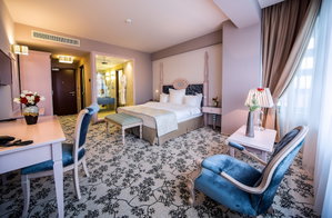 Hotel Pleiada Boutique Hotel And Spa cazare Judetul Iasi