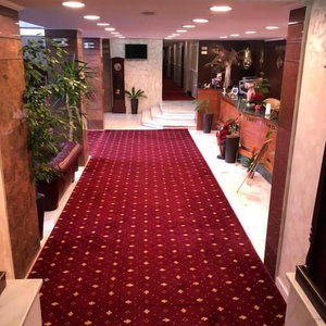 Hotel Hotel President Scornicesti cazare Scornicesti