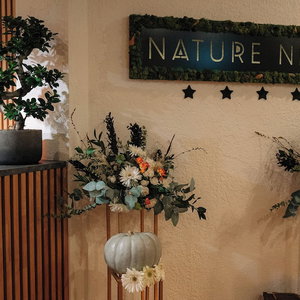 Hotel Nature Nest cazare Bran