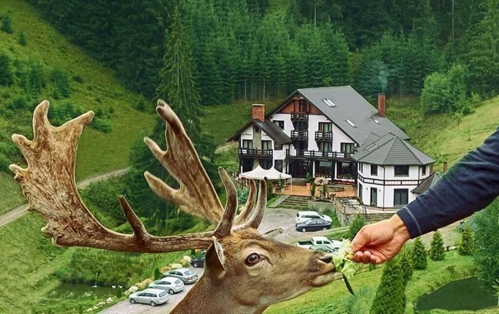 Hotel Pensiunea Poiana Izvoarelor