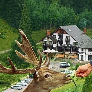 Hotel Pensiunea Poiana Izvoarelor cazare Vatra Dornei
