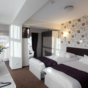 Hotel West Plaza Hotel cazare Rosu