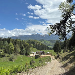 Hotel Andolia cazare Moieciu de Jos