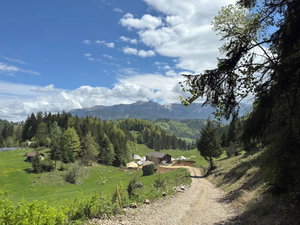 Hotel Andolia cazare Moieciu de Jos
