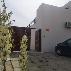 Hotel Dream Resort (Adults only 14+) cazare Navodari