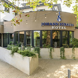 Hotel Johann Strauss cazare Fundeni
