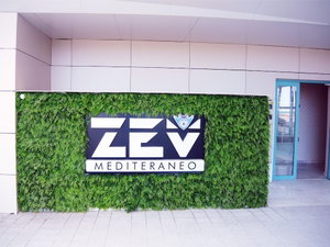 Hotel Cnc Zev Apartment cazare Mamaia Nord