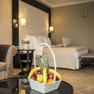 Hotel Constantine The Great cazare Palilula