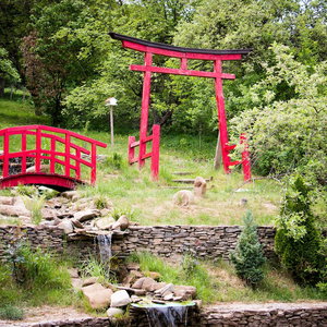 Hotel Casa Lily-Japanese Retreat cazare Sighisoara