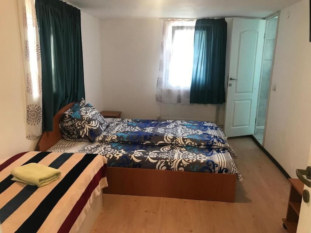 Hotel Pensiunea Alexa
