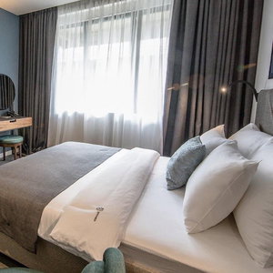 Hotel Botanica Art cazare Palilula