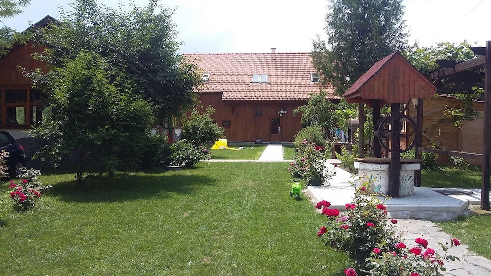 Hotel Pensiunea Albinuta