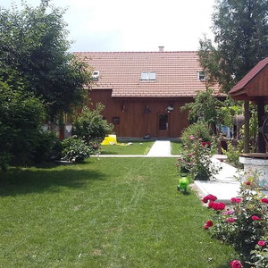 Hotel Pensiunea Albinuta cazare Ozun
