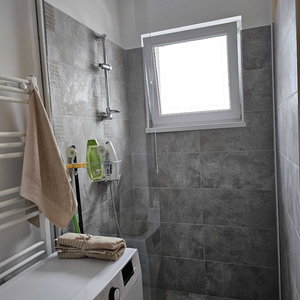 Hotel Garsoniera Gorjului cazare Rosu