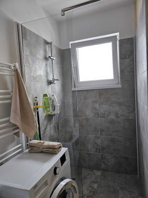 Hotel Garsoniera Gorjului cazare Rosu