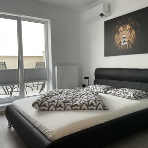 Hotel 4 Room Penthouse Terrace W18-W19 cazare Rosu