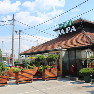 Hotel Guesthouse Tara cazare Palilula
