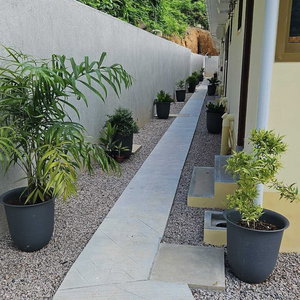 Hotel Solea Self Catering cazare Cascade