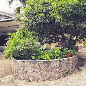 Hotel Lapasyans Self-Catering cazare Cascade