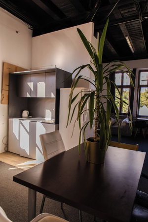 Hotel Blue Lotus Hotel & Hostel cazare Bratislava